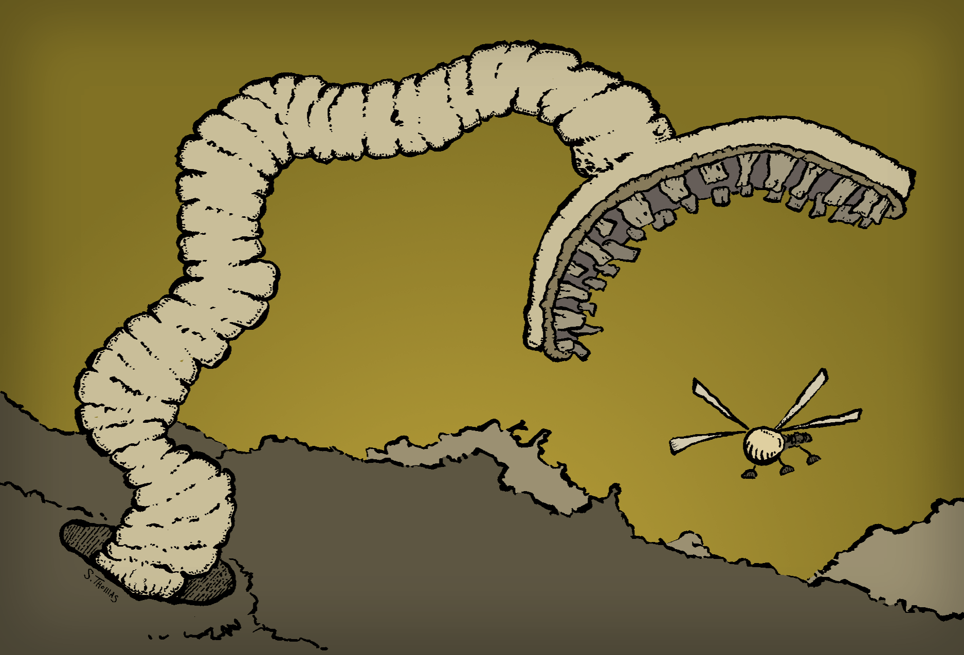 Sandworm Eye Tutorial Rinky Dink Ink β Hand-Drawn Illustrations